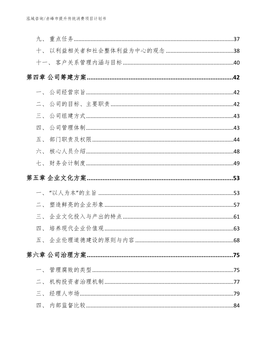 赤峰市提升传统消费项目计划书（范文参考）_第2页