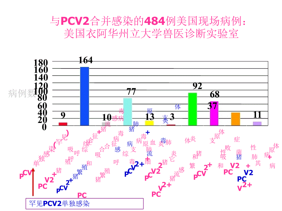 规模猪场生物安全措施课件_第4页