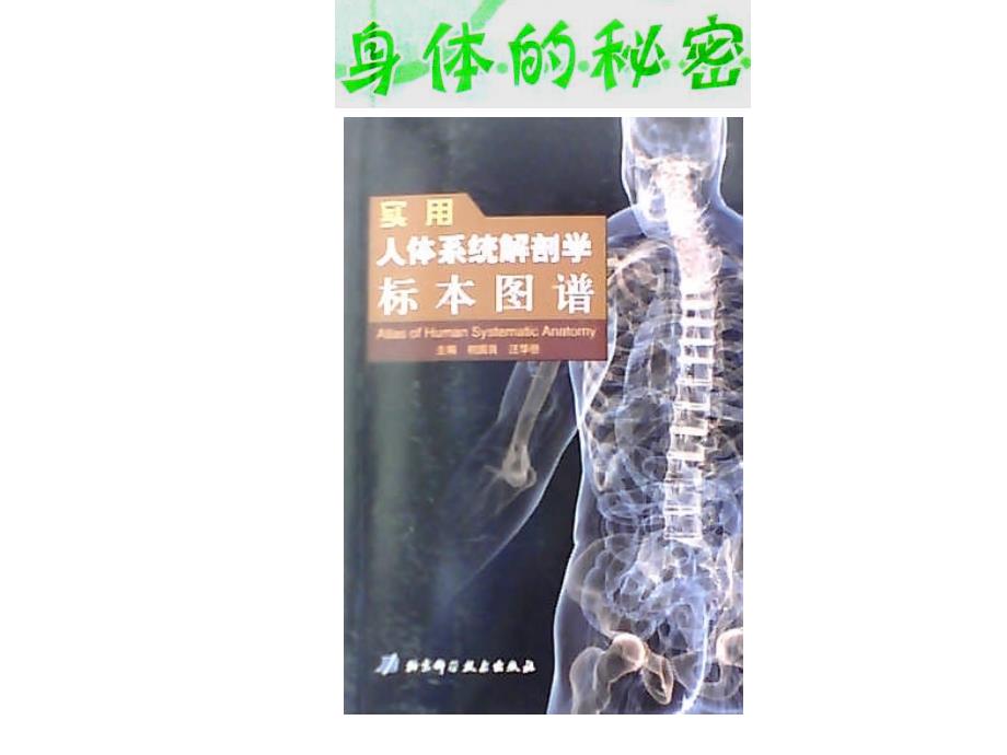 身体的秘密..课件_第3页