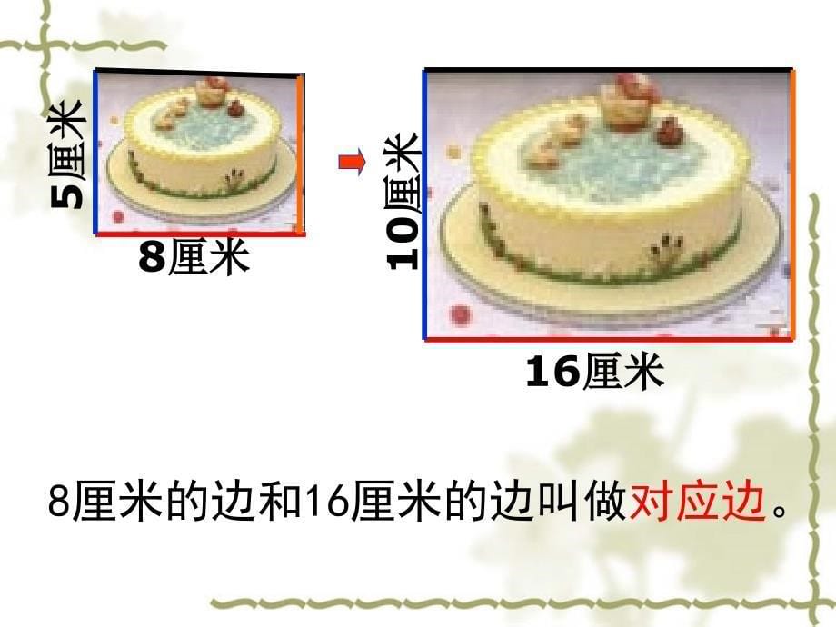 图形的放大和缩小2_第5页