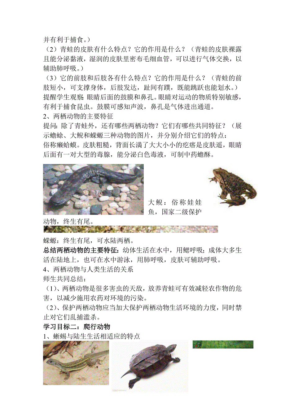 两栖动物和爬行动物.docx_第2页