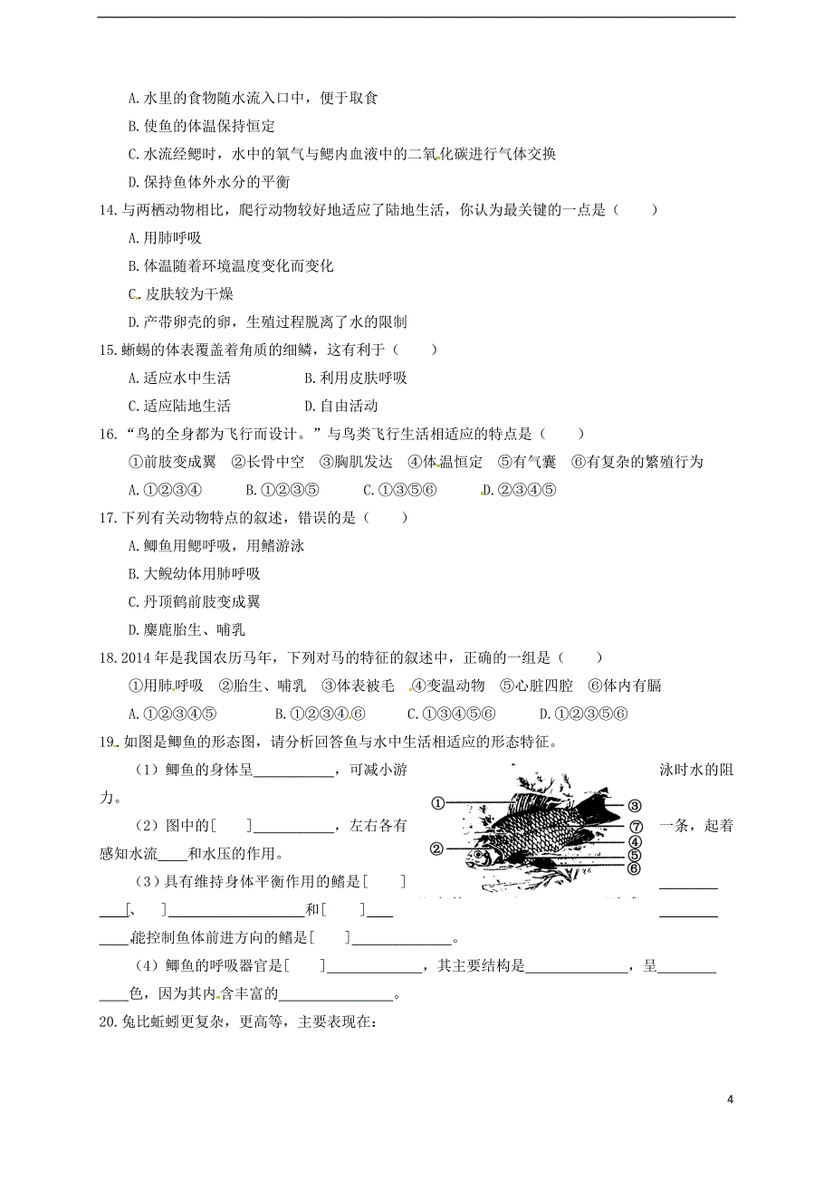 山东省武城县第二中学七年级生物上册 第二节 脊椎动物的主要类群导学案.doc_第4页