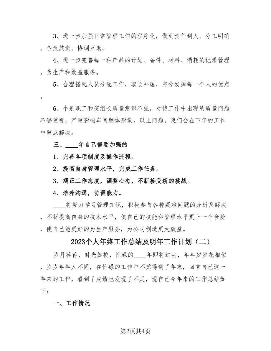 2023个人年终工作总结及明年工作计划（2篇）.doc_第2页