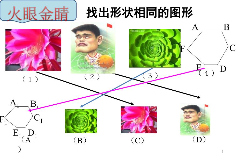 相似多边形公开课最新ppt课件_第1页