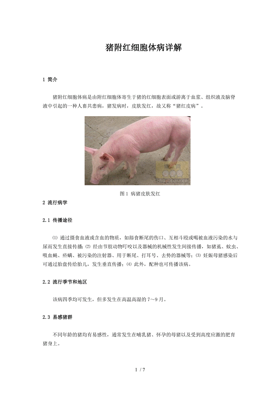 猪附红细胞体病详解_第1页