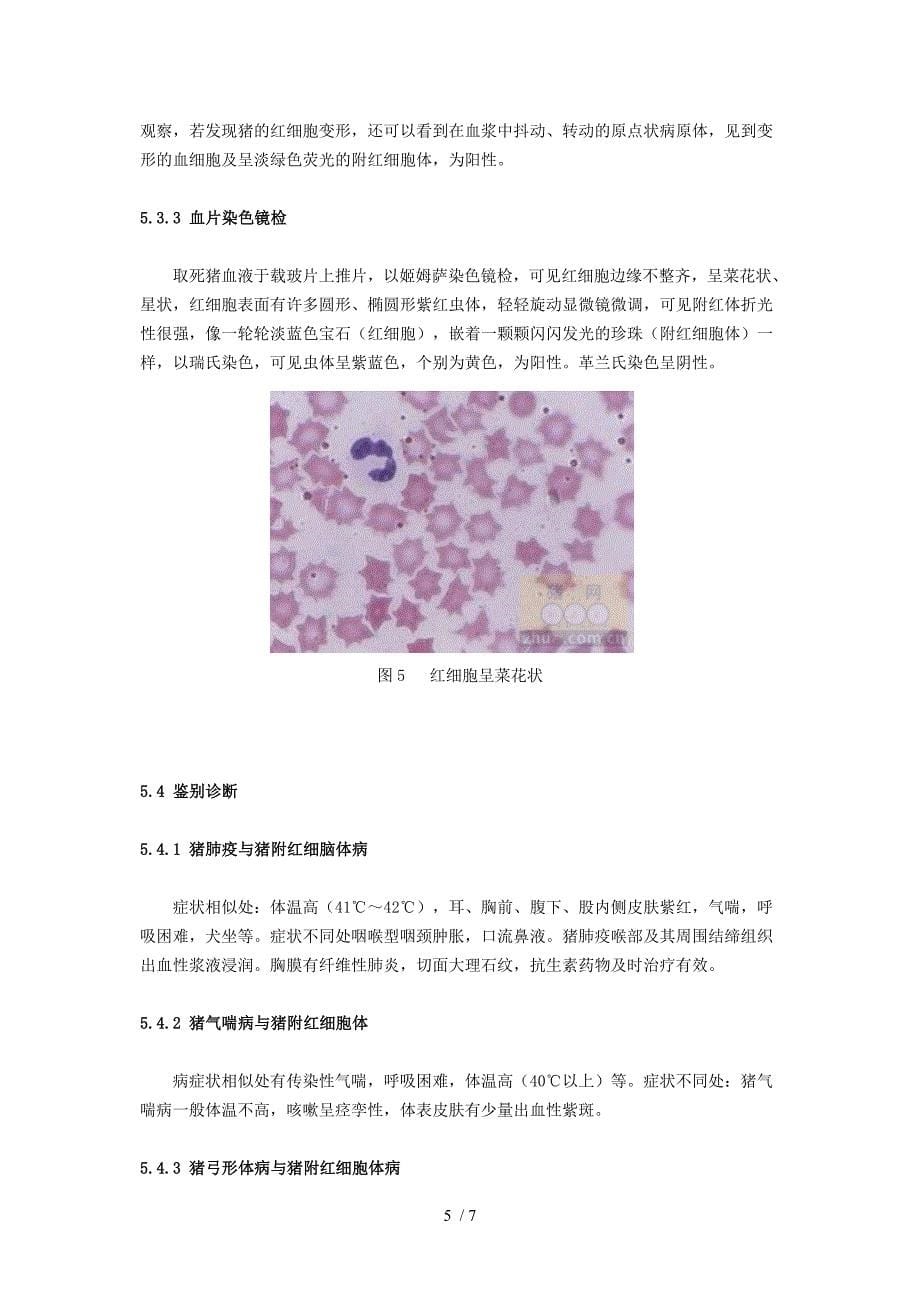 猪附红细胞体病详解_第5页