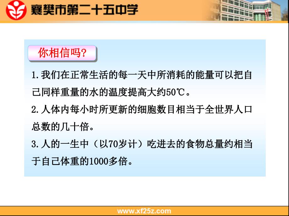 第一节食物中的营养物质_第2页