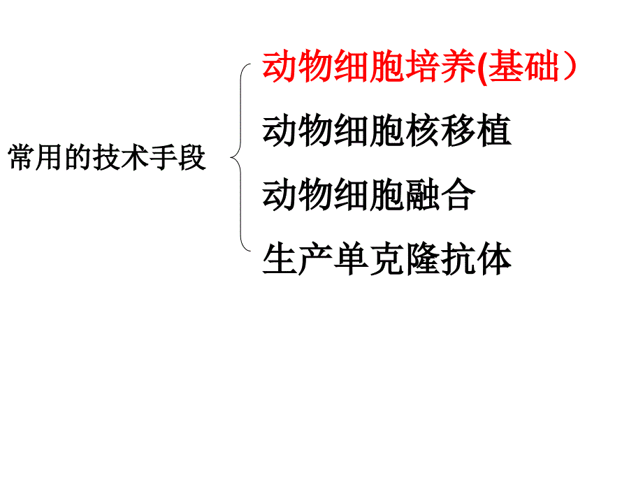 动物细胞工程下学期新人教版精选文档_第2页