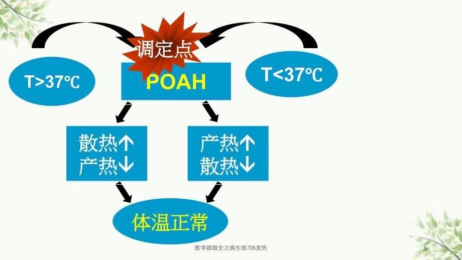 医学超级全之病生临706发热课件_第5页