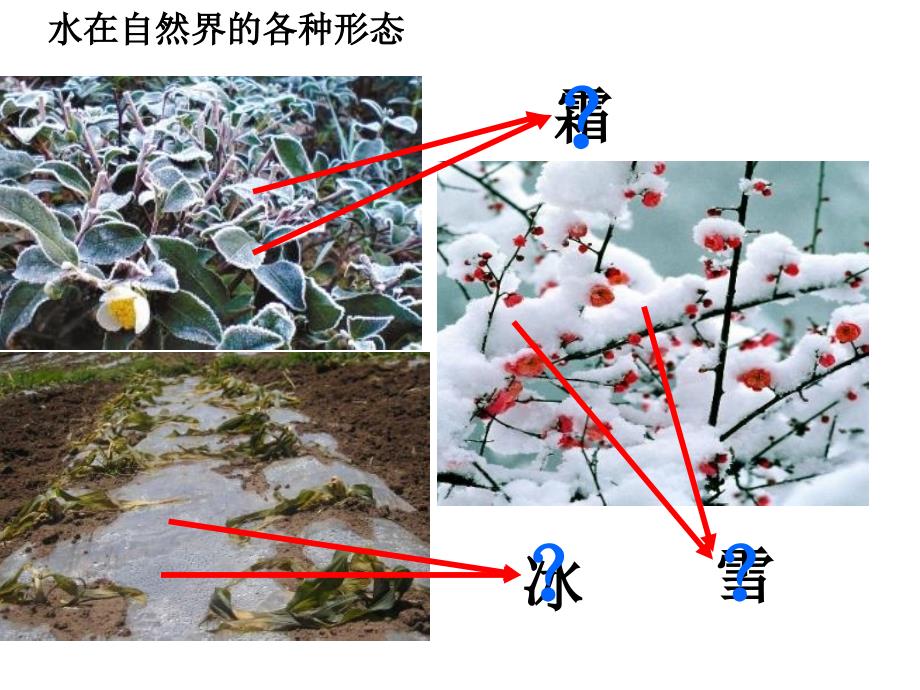 三年级下册科学课件第三单元第7课水的三态变化教科版_第3页