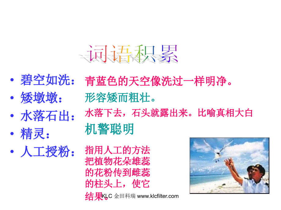 人教版六年级语文上册第七课彩色的翅膀.ppt_第2页