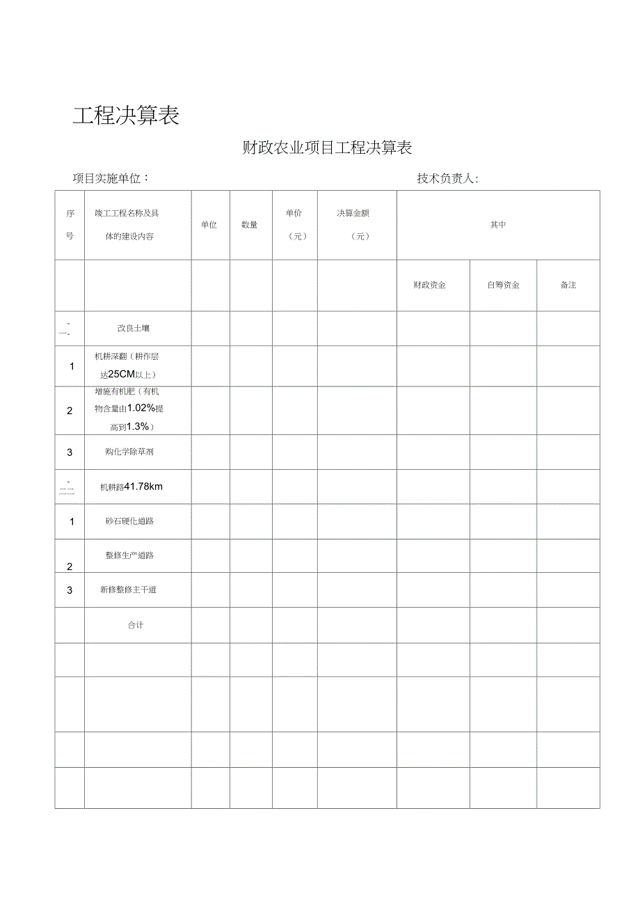 农业综合开发项目工程决算表_第1页