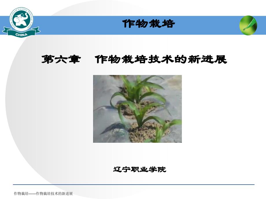 作物栽培技术的新进展_第1页