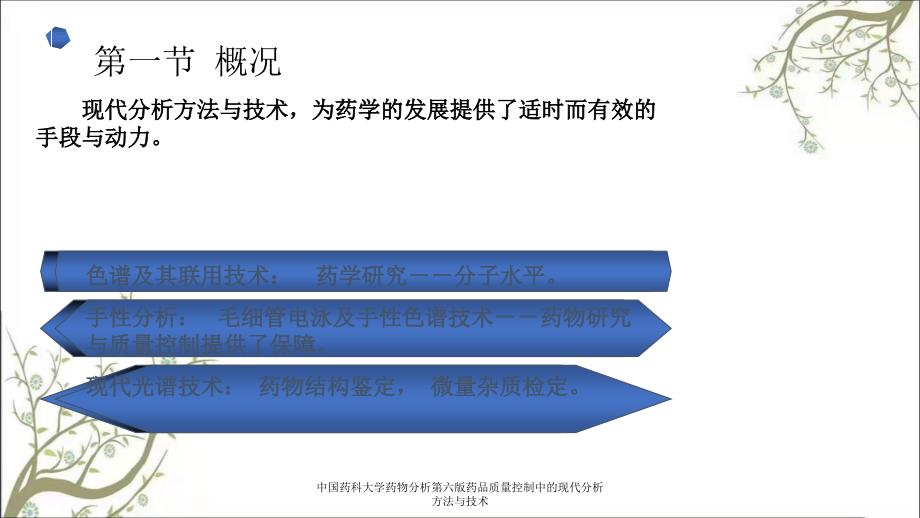 中国药科大学药物分析第六版药品质量控制中的现代分析方法与技术_第2页