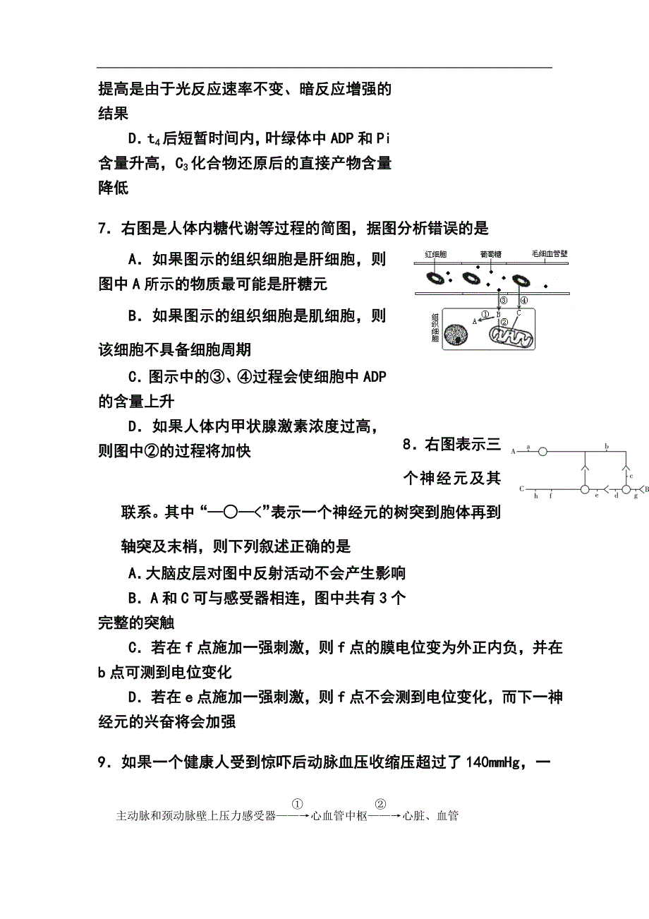 上海市闸北区高三下学期二模考试生物试题及答案_第3页