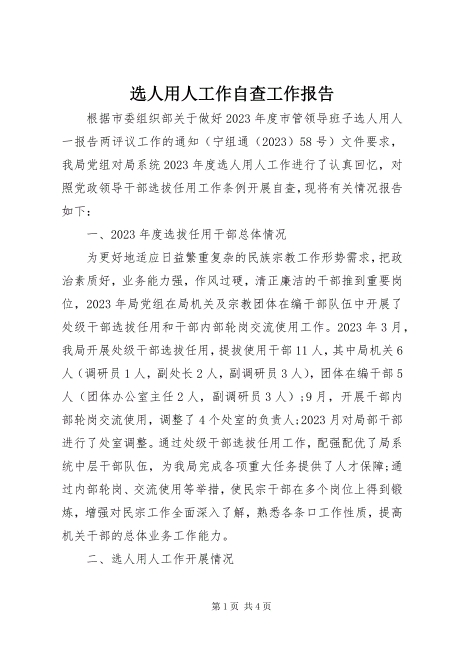 2023年选人用人工作自查工作报告.docx_第1页