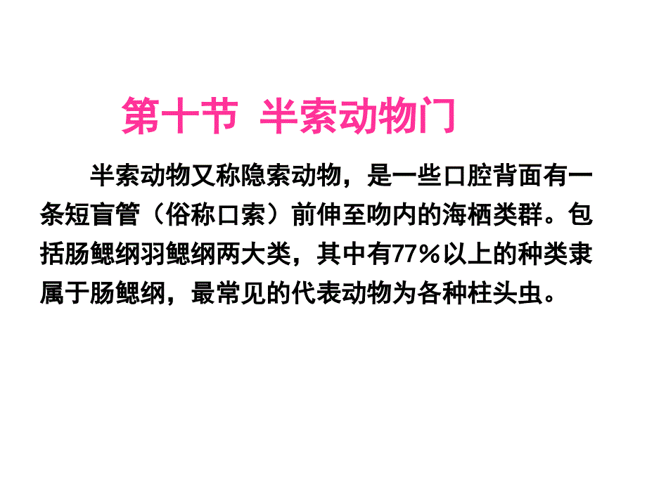 动物的类群半索动物_第1页