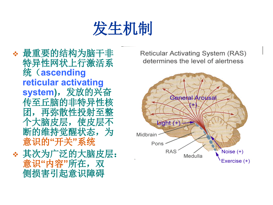 人卫第九版神经病学教学课件 意识障碍_第4页