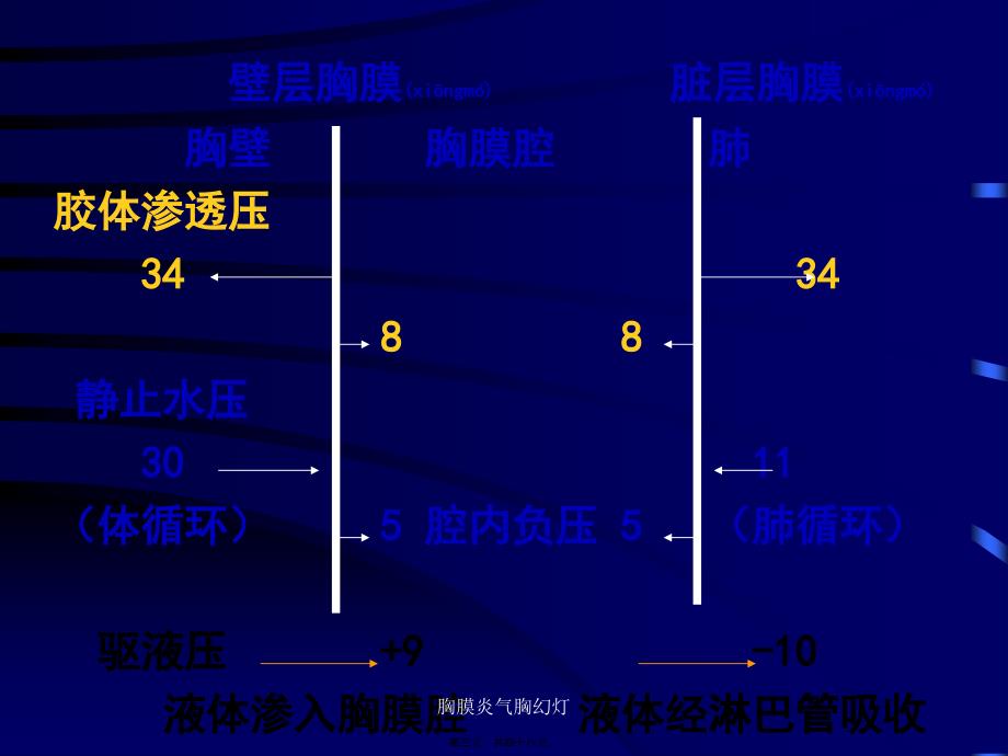 胸膜炎气胸幻灯课件_第3页