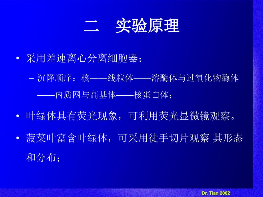 试验五叶绿体的分离与荧光观察PPT课件_第3页