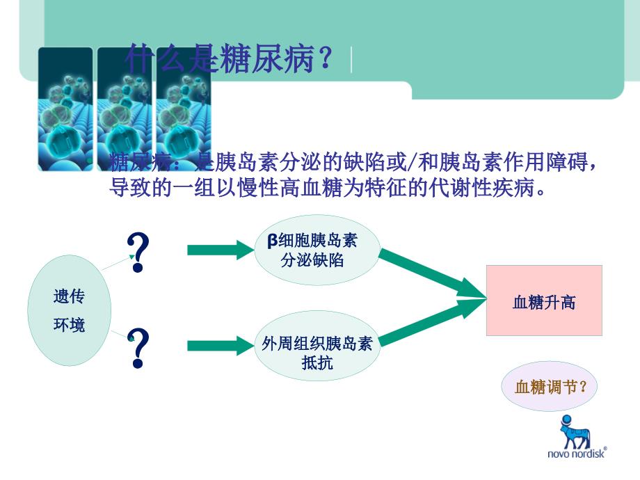 胰岛素的使用和围手术期糖尿病患者管理课件_第3页