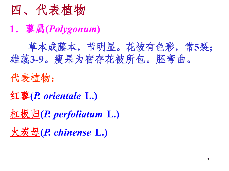 植物学蓼科PPT课件_第3页