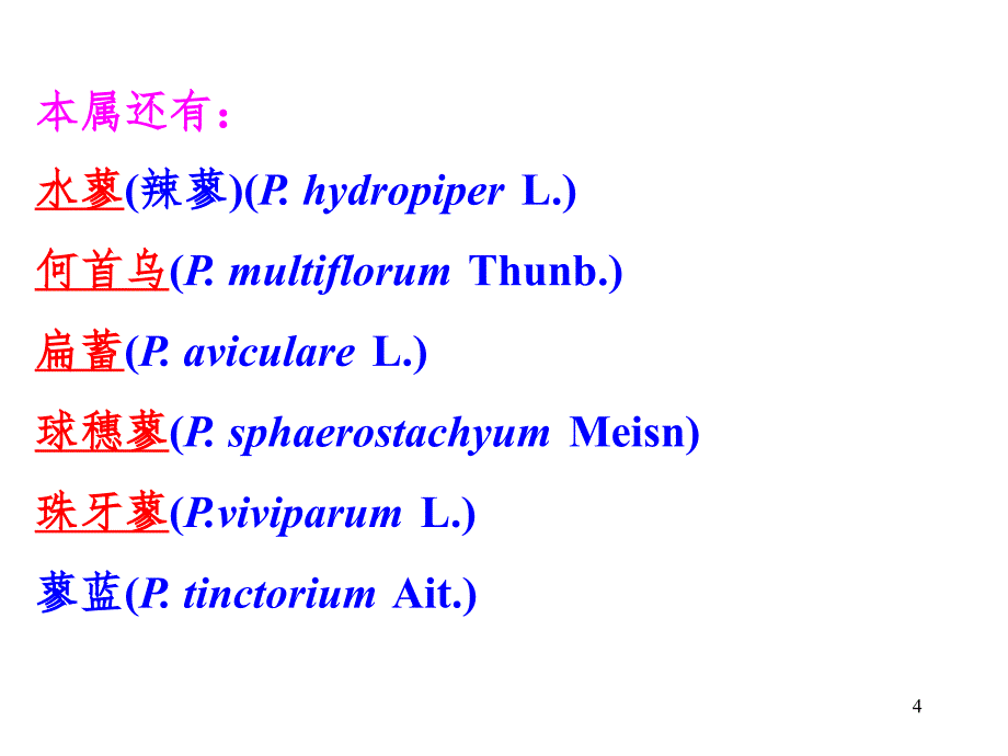 植物学蓼科PPT课件_第4页