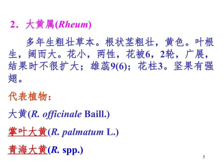 植物学蓼科PPT课件_第5页