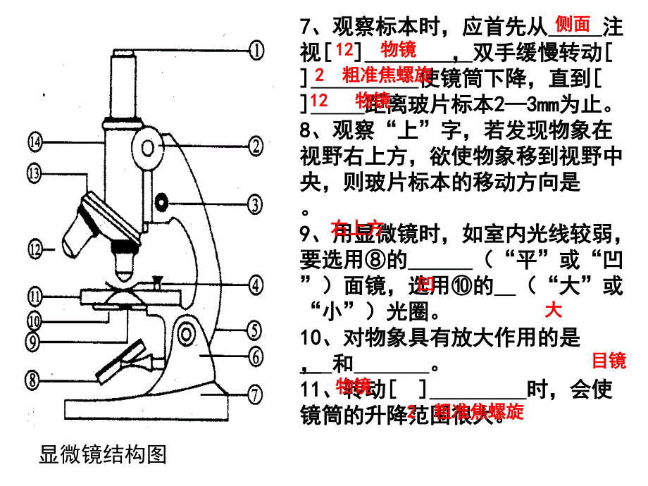 生物七上图题_第3页