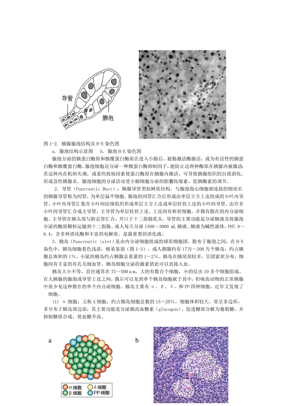 第一章胰腺的基本结构和功能_第3页