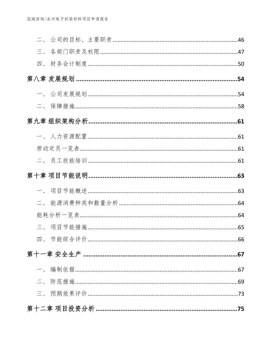 永州电子封装材料项目申请报告_第5页