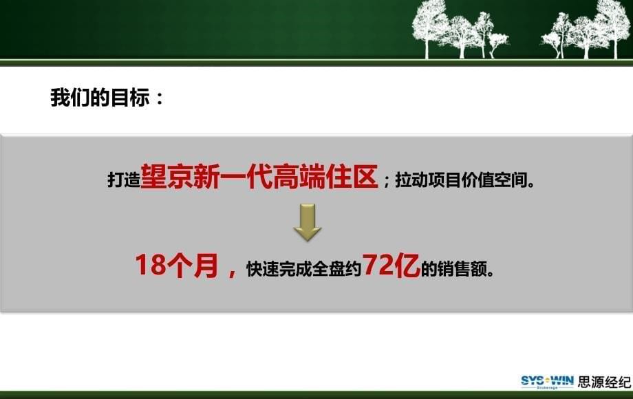 思源北京保利中央公园项目营销策划方案报告_第5页