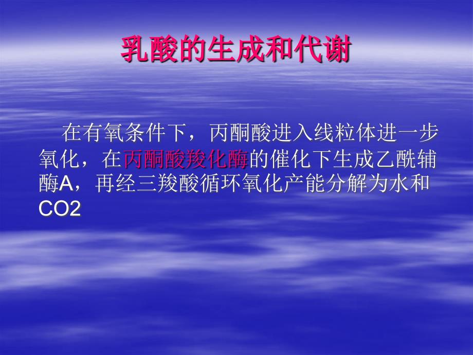 重症病人血乳酸的监测课件_第4页