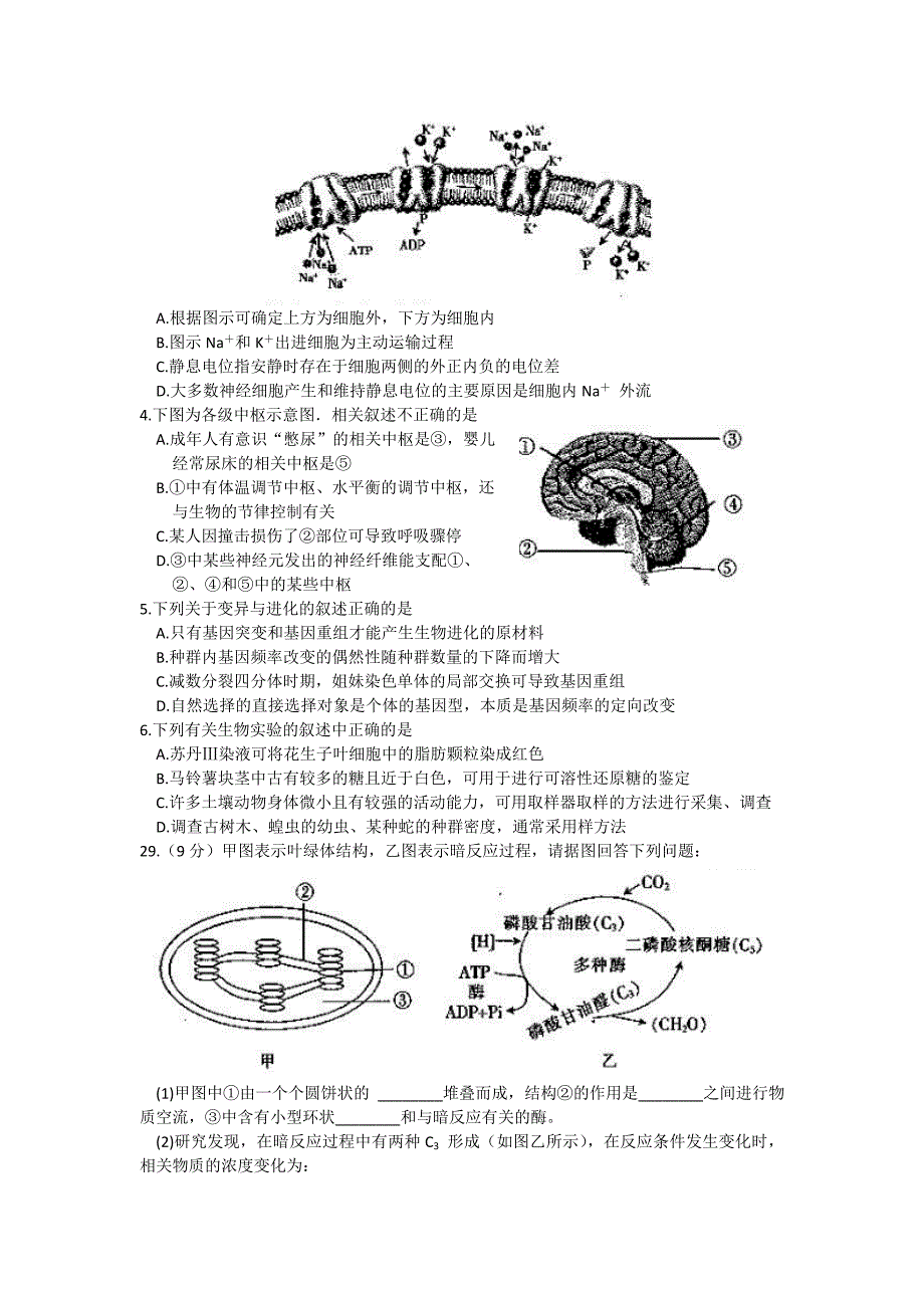 河北省衡水市2015届高三下学期三月点睛金榜大联考（六）生物试题.doc_第2页