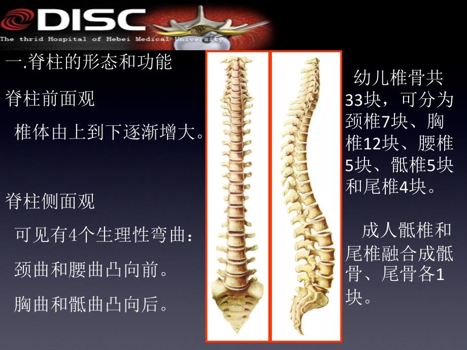 脊柱常见疾病与手术 ppt课件_第3页