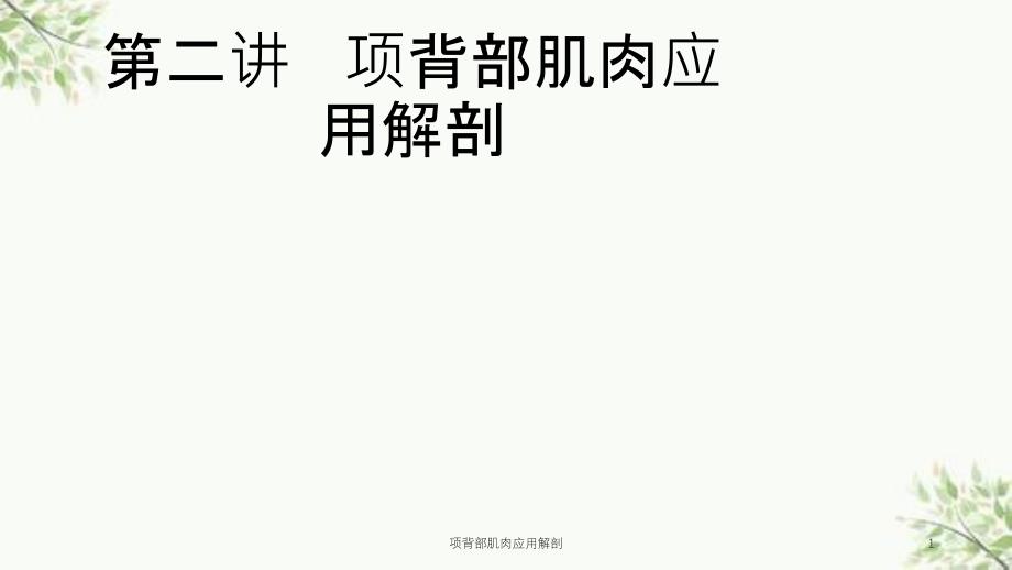 项背部肌肉应用解剖课件_第1页