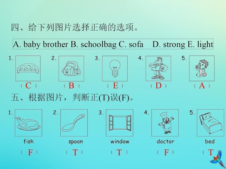 最新四年级英语上册语音与词汇专项复习习题_第5页