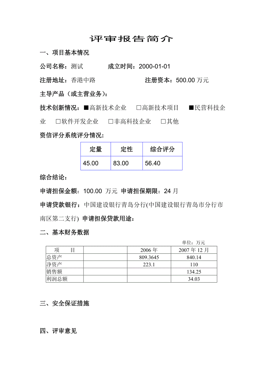 担保公司项目评审报告模板_第3页