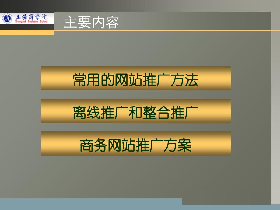 商务网站推广案例时代营销_第3页