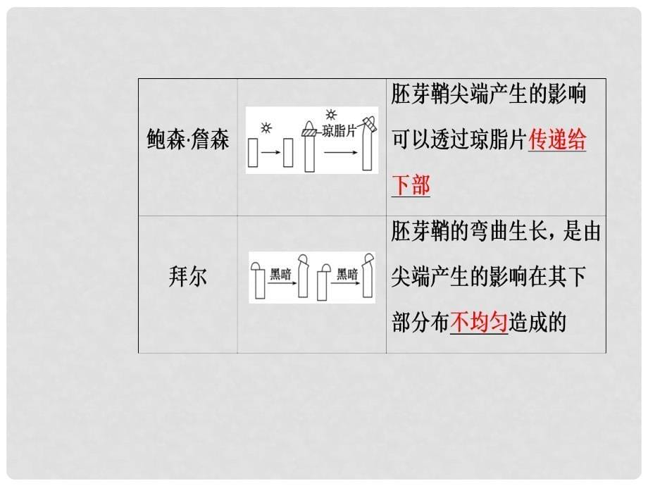 高中生物 第三章 植物的激素调节 第1节 植物生长素的发现课件 新人教版必修3_第5页