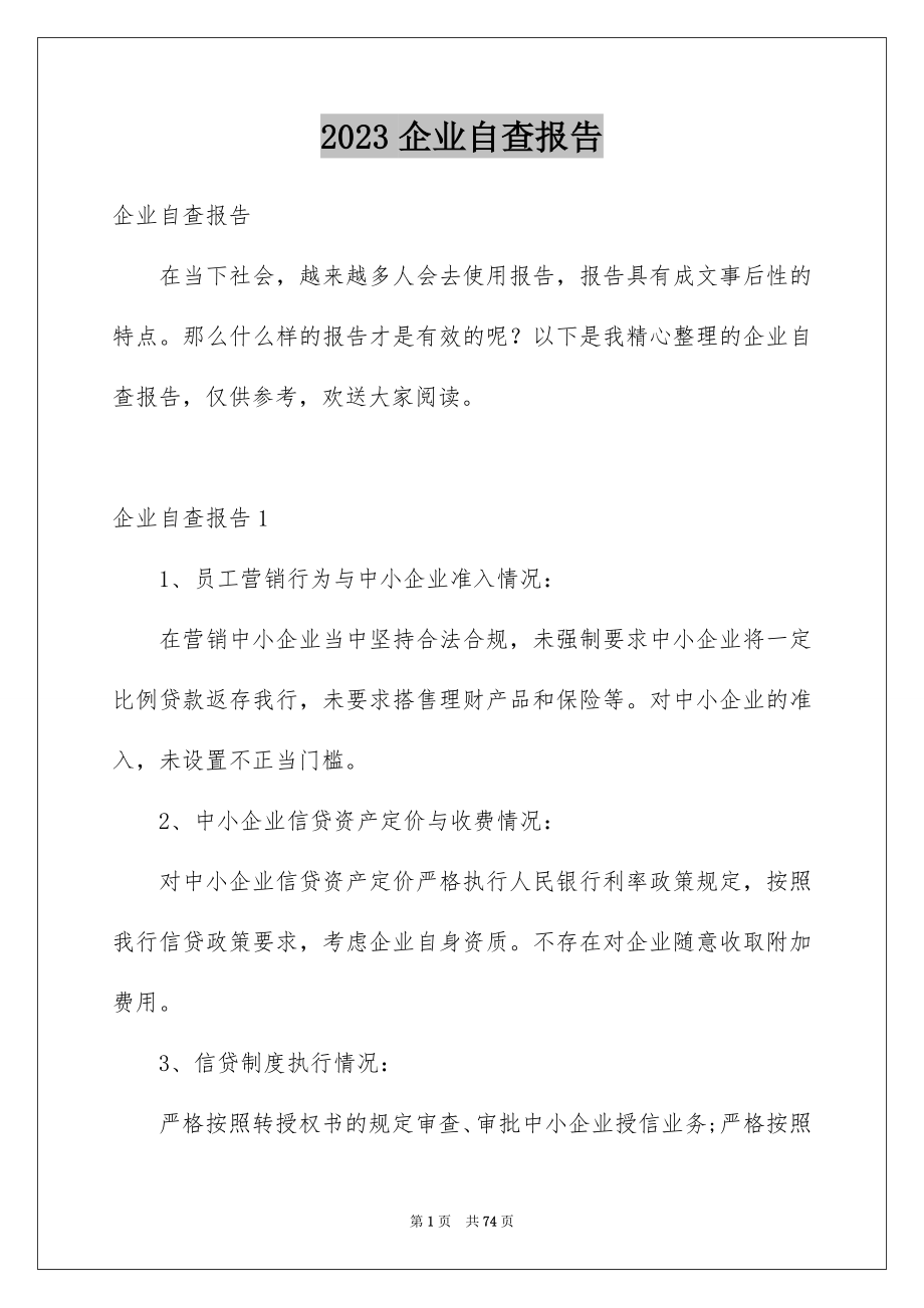 2023年企业自查报告.docx