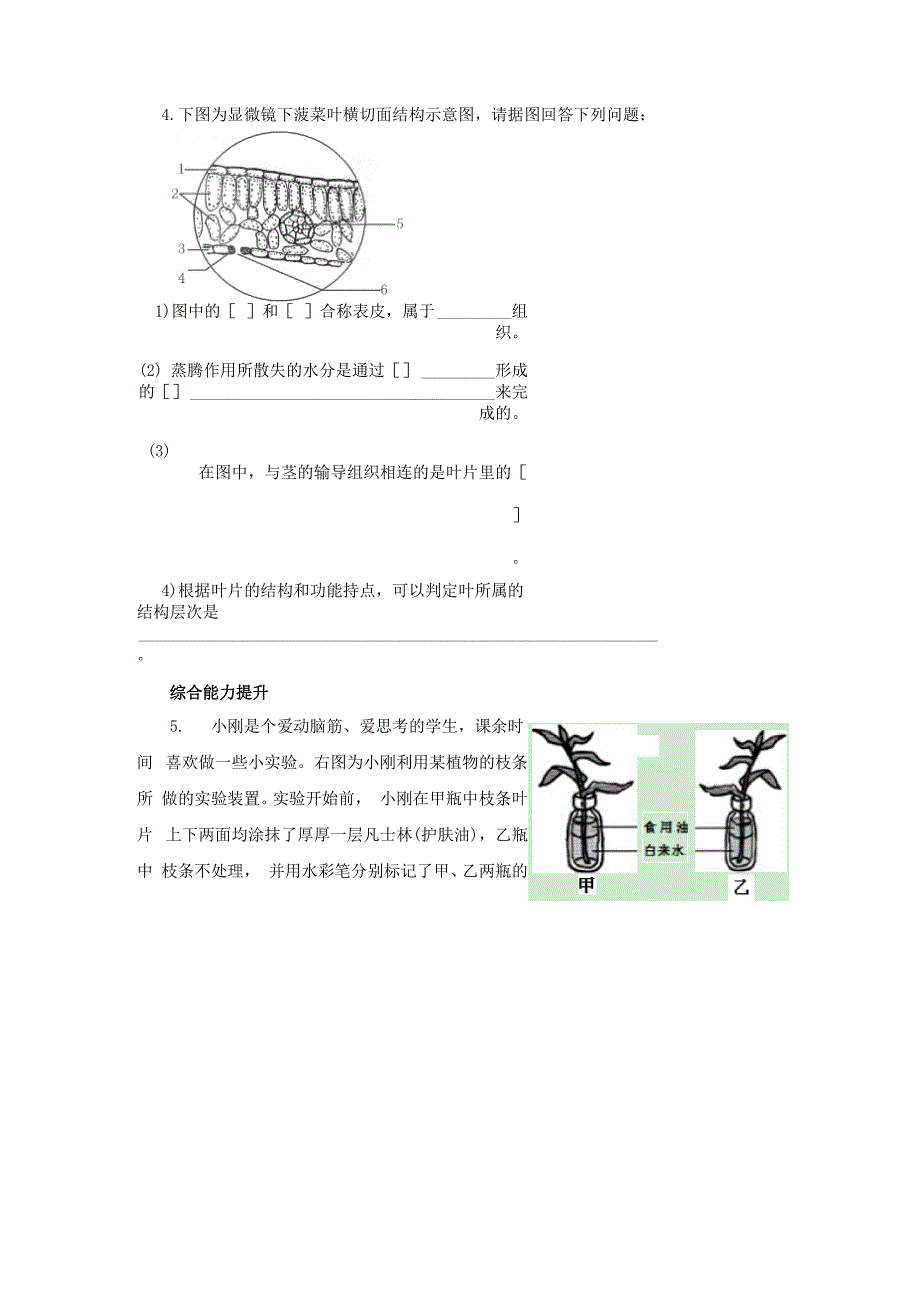 绿色植物的蒸腾作用_第4页