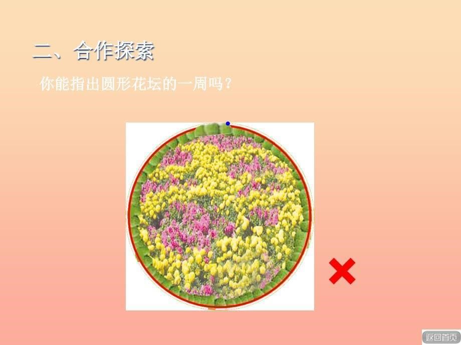 2019秋三年级数学上册 第八单元 信息窗1 图形的周长课件 青岛版.ppt_第5页