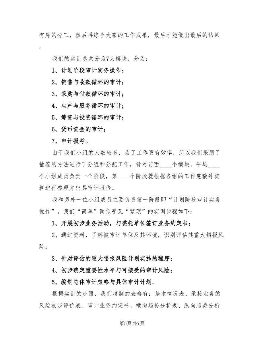 2023大学生审计实习总结报告（2篇）.doc_第5页