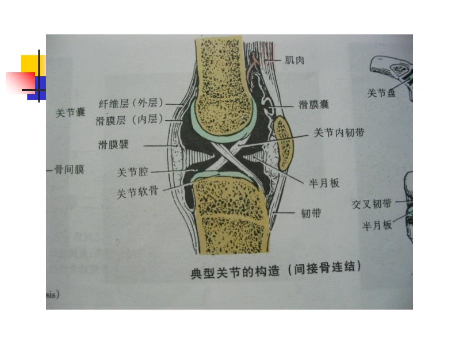 关节活动度训练ROM训练_第3页