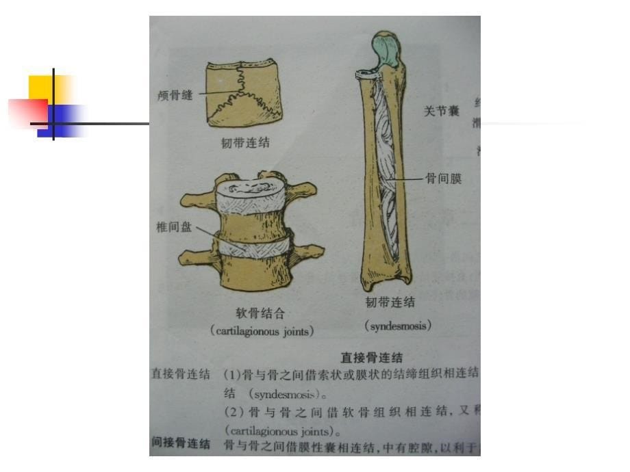 关节活动度训练ROM训练_第5页