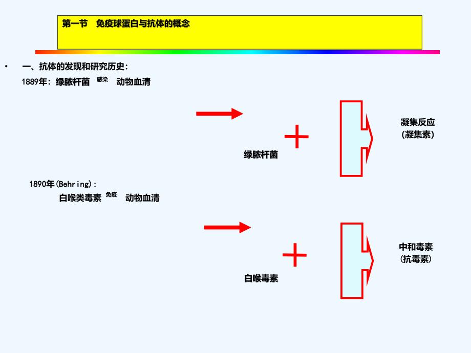 免疫球蛋白与抗体_第2页