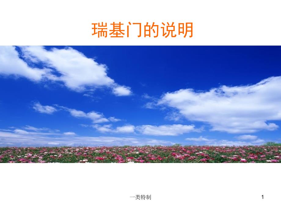 瑞基电动门说明开关型行业严选_第1页