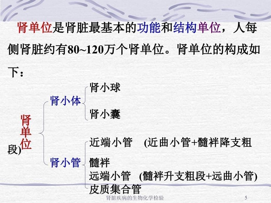 肾脏疾病的生物化学检验_第5页