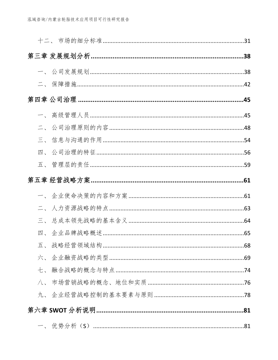 内蒙古轮胎技术应用项目可行性研究报告_第3页